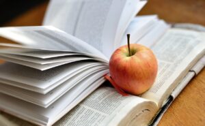 Odkrywaj i ucz się z zabawą: „Samogłoski i spółgłoski maxi” oraz „Polska niezwykła Mapa ścienna dla dzieci”